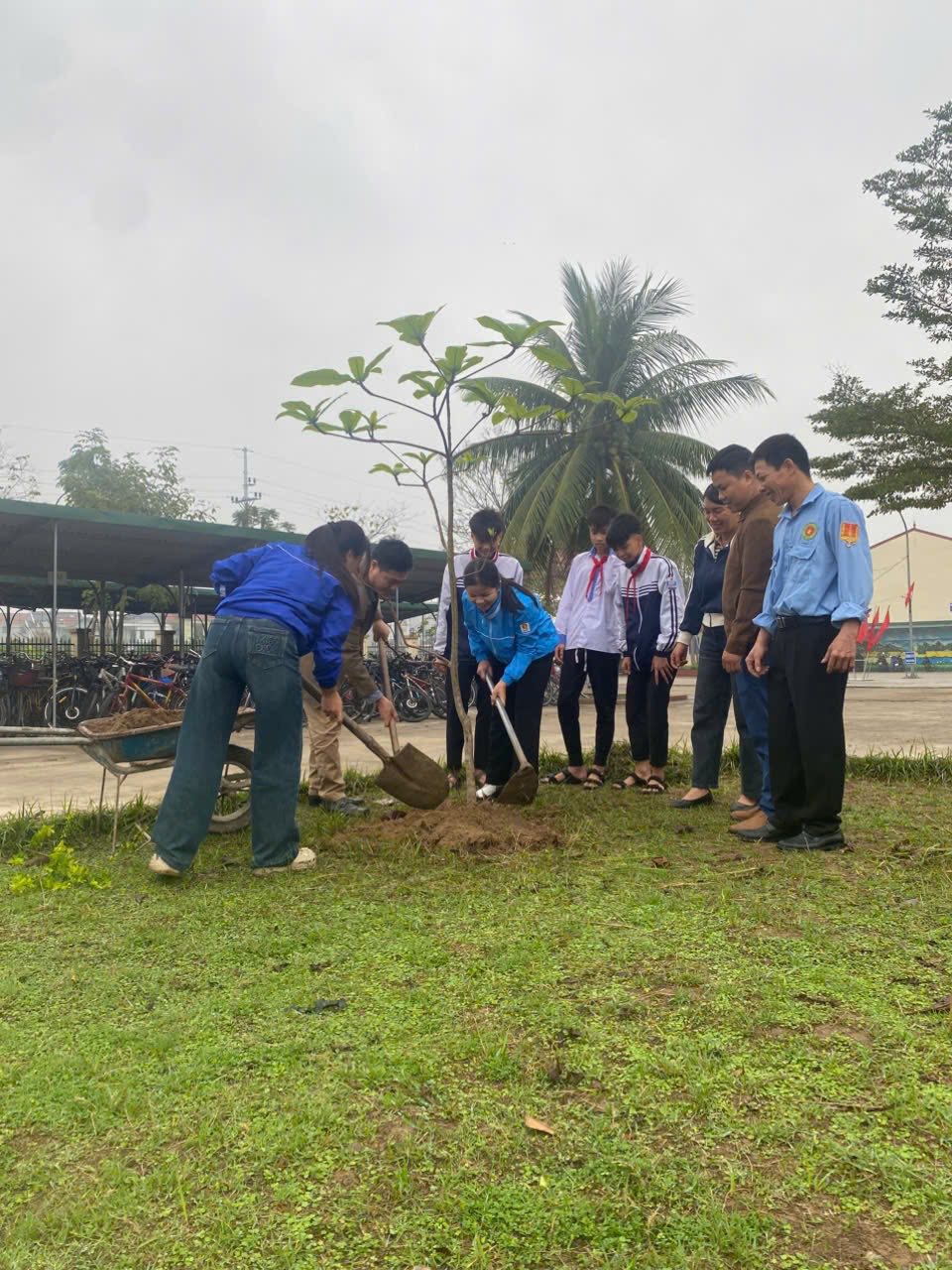 Trường THCS Minh Tân đã tổ chức hưởng ứng và phát động Tết trồng cây vào ngày 24/2/2026